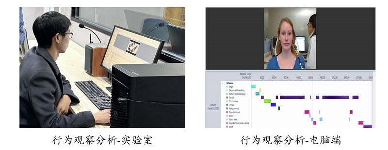61114a9cd91f4097bb8aae1e56ce1dcf.jpg 行为观察.jpg